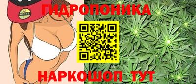 дмт Краснокаменск