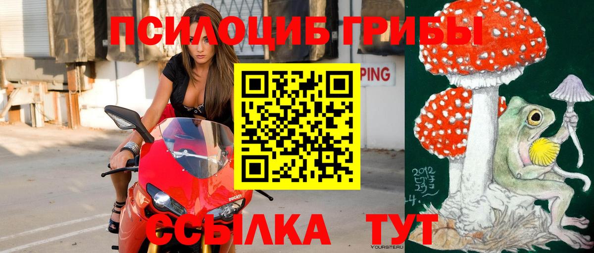 Галлюциногенные грибы мицелий  Вход с VPN  Черняховск 